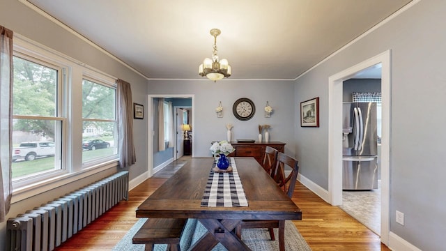 236 Alleghany Ave, Wabasha, MN 55981 - dining area featuring radiator heating unit, a chandelier, ornamental molding, and light wood-style flooring