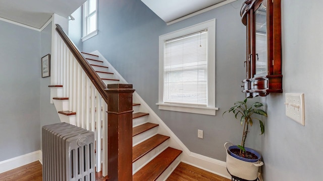 236 Alleghany Ave, Wabasha, MN 55981 - stairs featuring radiator and wood finished floors