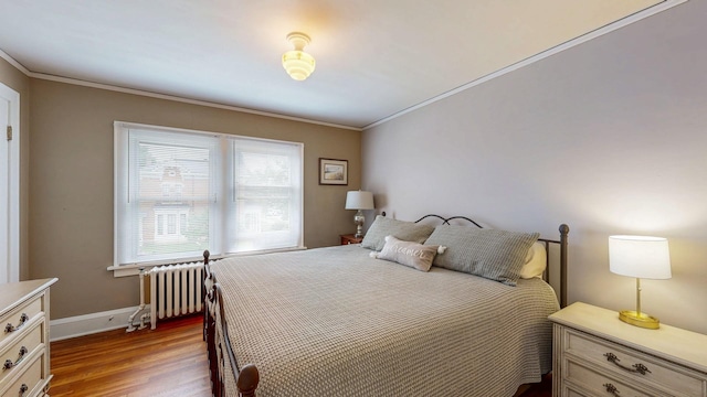 236 Alleghany Ave, Wabasha, MN 55981 - bedroom with radiator heating unit, ornamental molding, and dark wood-style floors