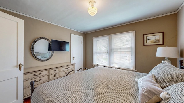 236 Alleghany Ave, Wabasha, MN 55981 - bedroom with crown molding