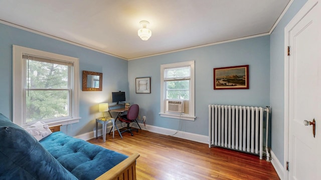 236 Alleghany Ave, Wabasha, MN 55981 - office with radiator heating unit, healthy amount of natural light, crown molding, and wood finished floors
