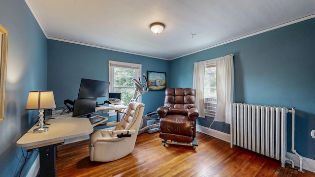236 Alleghany Ave, Wabasha, MN 55981 - office space with radiator heating unit, ornamental molding, and wood finished floors