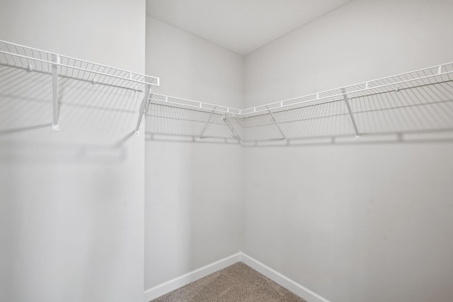 14221 Aspen Ave, Rosemount, MN 55068 - walk in closet featuring carpet floors