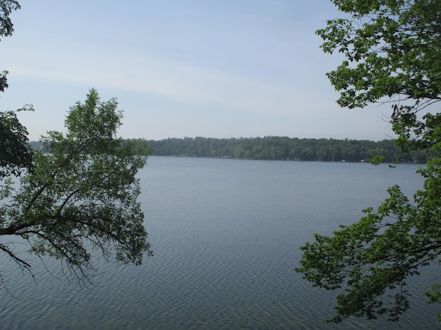 32468 County Highway 27, Elizabeth Twp, MN 56534 - water view featuring a heavily wooded area