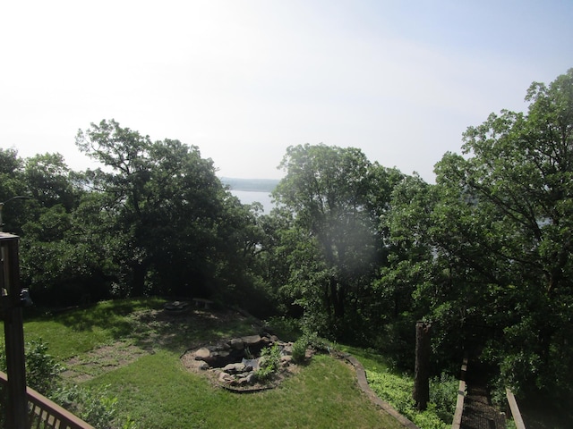 32468 County Highway 27, Elizabeth Twp, MN 56534 - view of grassy yard