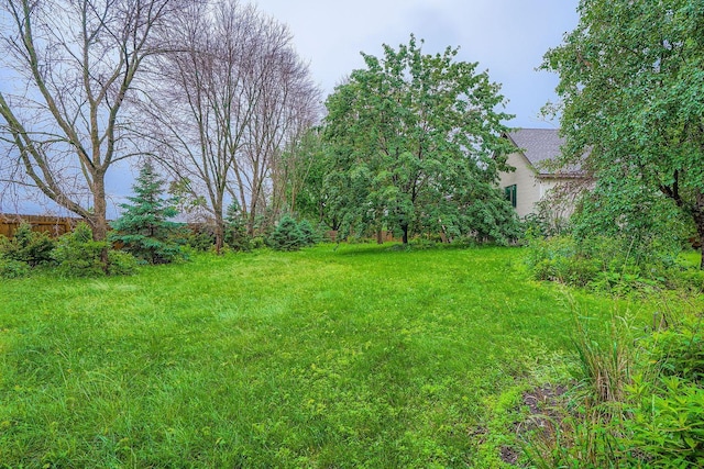 8210 208th St W, Lakeville, MN 55044 - view of yard
