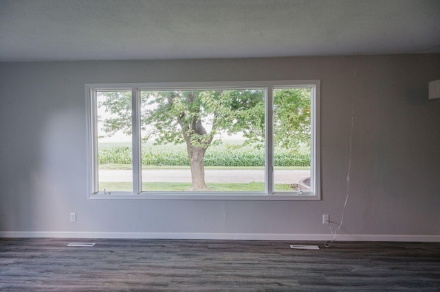 600 Venn St, Sherburn, MN 56171 - unfurnished room featuring plenty of natural light and dark wood finished floors