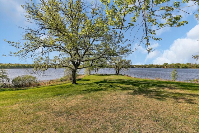 196633 County Road 9 NE, New London Twp, MN 56273 - photo 16