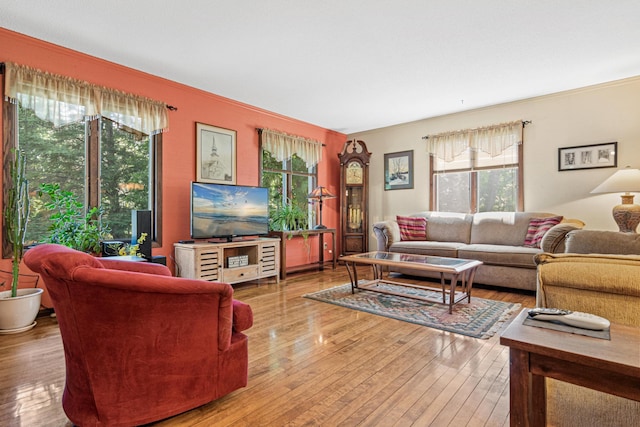 6670 Maple Dr, Rockford, MN 55373 - living room with hardwood / wood-style flooring
