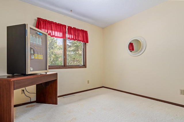 6670 Maple Dr, Rockford, MN 55373 - unfurnished office featuring carpet