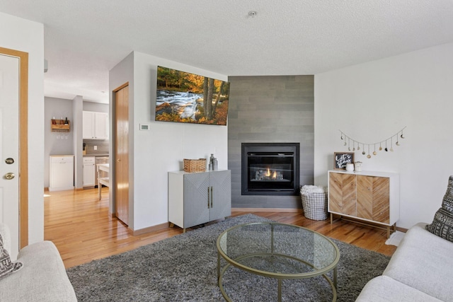 13066 Crimson Clover Ln, Eden Prairie, MN 55347 - living room with light wood-style flooring and a fireplace
