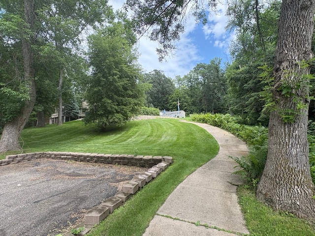 230 Baycrest Rd, Glenwood, MN 56334 - photo 48