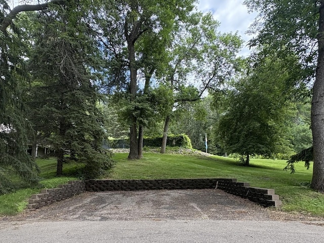 230 Baycrest Rd, Glenwood, MN 56334 - photo 61