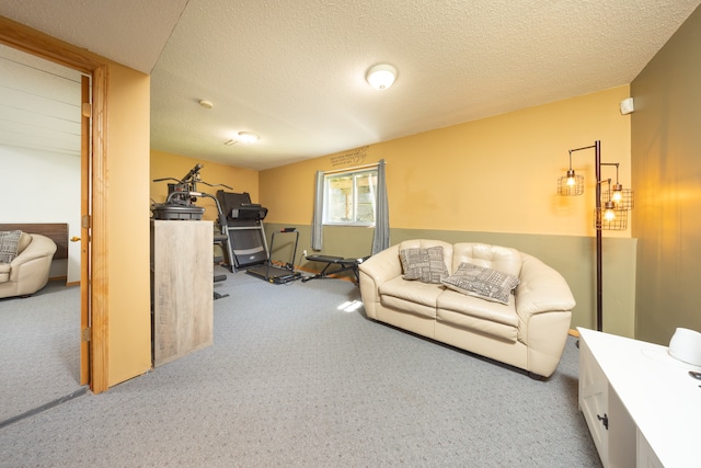 10815 Matthew Dr, Chisago City, MN 55013 - living area featuring carpet and a textured ceiling