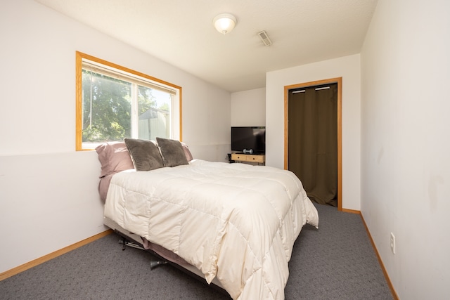 10815 Matthew Dr, Chisago City, MN 55013 - carpeted bedroom with baseboards and a closet