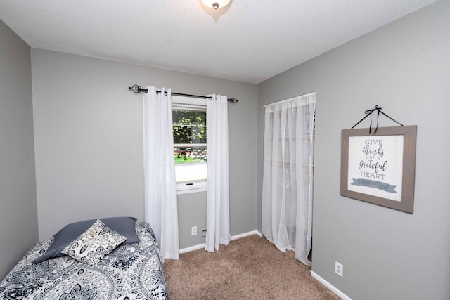 8068 Hyde Ln S, Cottage Grove, MN 55016 - photo 40