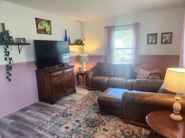 1302 Clark St, Albert Lea, MN 56007 - living area featuring light wood finished floors