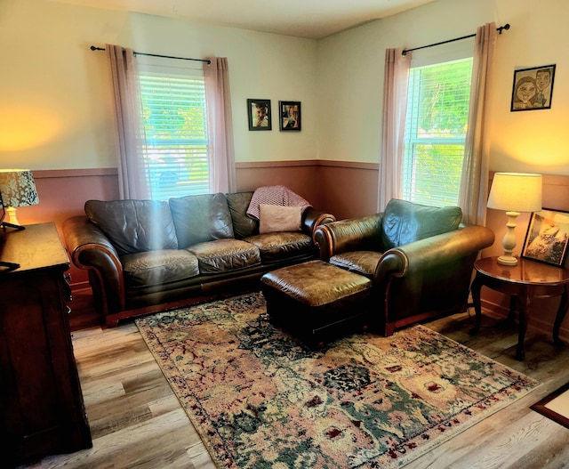 1302 Clark St, Albert Lea, MN 56007 - living room with plenty of natural light and light wood-style floors