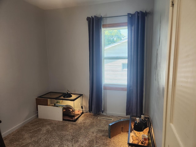 1302 Clark St, Albert Lea, MN 56007 - empty room featuring carpet and baseboards