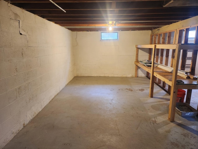 1302 Clark St, Albert Lea, MN 56007 - view of basement