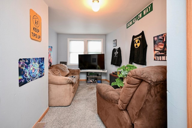 108 Hill St, Fountain City, WI 54629 - living area featuring carpet flooring and baseboards
