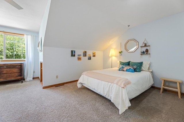271 Garvin Heights Rd, Winona, MN 55987 - photo 26
