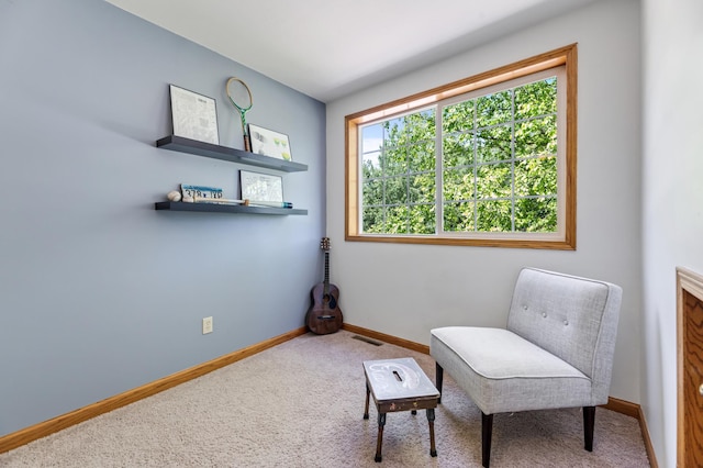 271 Garvin Heights Rd, Winona, MN 55987 - photo 29