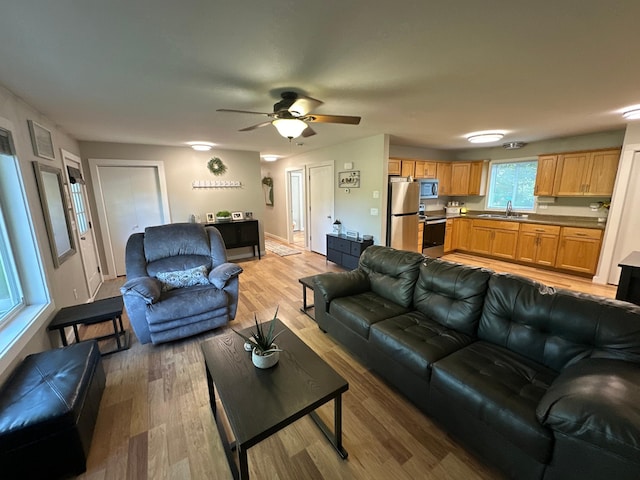 816 Thomas Dr NE, Alexandria, MN 56308 - photo 4