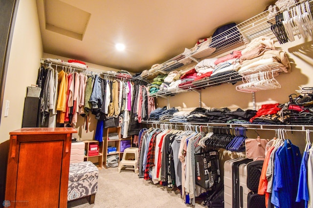 412 Hampton Dr W, Moorhead, MN 56560 - walk in closet with attic access and carpet flooring