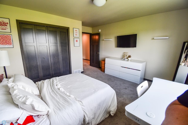 412 Hampton Dr W, Moorhead, MN 56560 - bedroom with carpet flooring and a closet