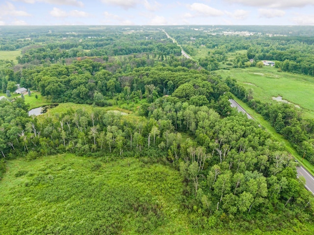 30712 128th St NW, Baldwin Twp, MN 55371 - photo 65