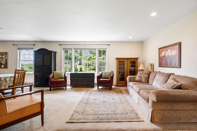 56668 145th Ave, West Concord, MN 55985 - living area with recessed lighting and light carpet