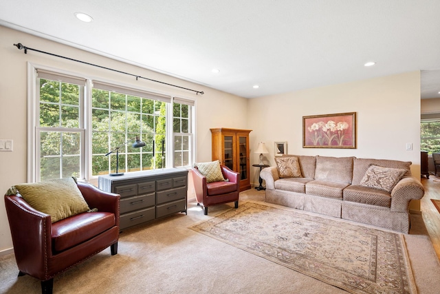 56668 145th Ave, West Concord, MN 55985 - living area featuring recessed lighting and light colored carpet