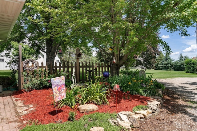 56668 145th Ave, West Concord, MN 55985 - view of yard