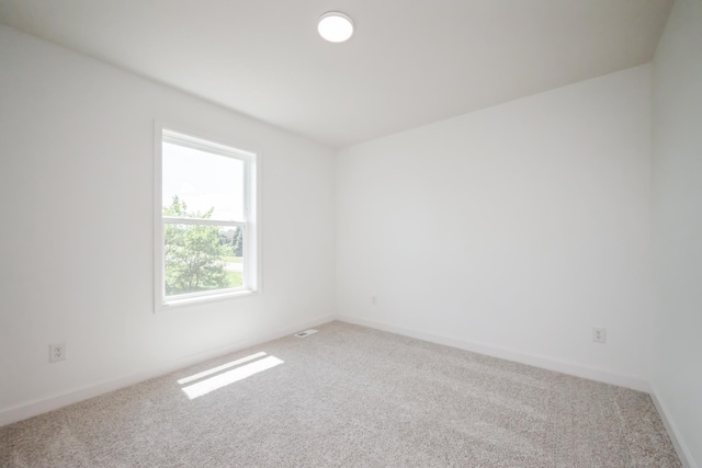 4424 Obsidian Way, Victoria, MN 55386 - photo 11
