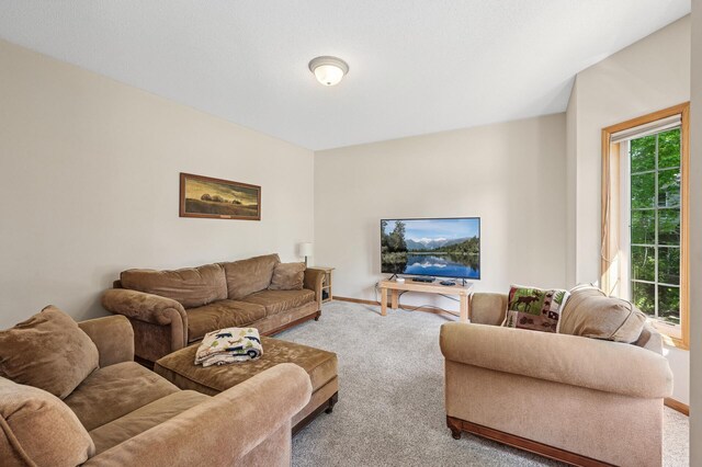 505 Chapel Ct, Eagan, MN 55121 - photo 10