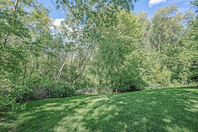 505 Chapel Ct, Eagan, MN 55121 - photo 28