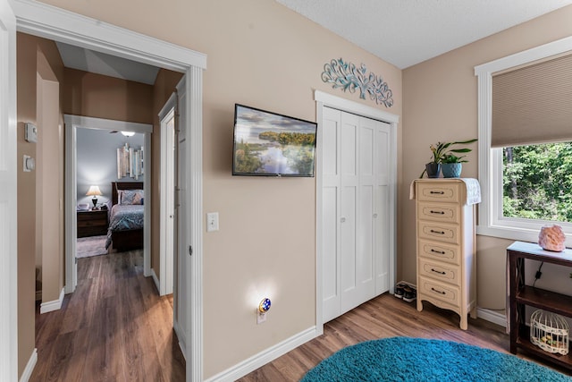 3819 Meadowview Way, Saint Bonifacius, MN 55375 - photo 21