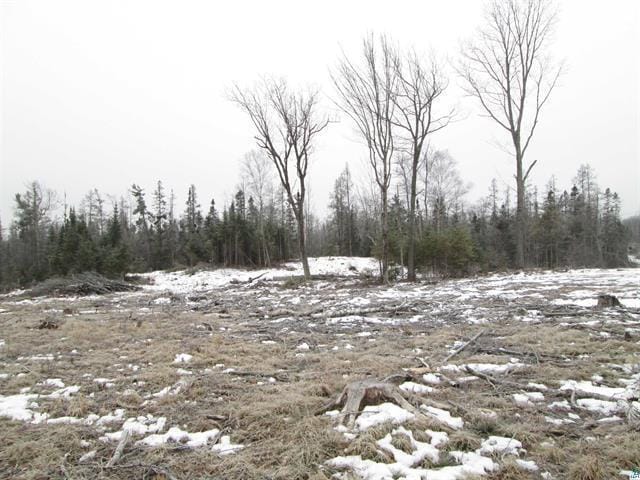 TBD County Rd L, Hawthorne, WI 54874 - photo 4