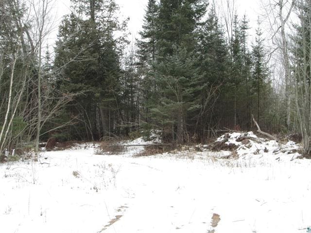TBD County Rd L, Hawthorne, WI 54874 - photo 5