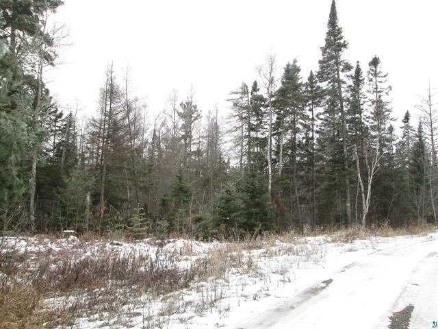 TBD County Rd L, Hawthorne, WI 54874 - photo 11