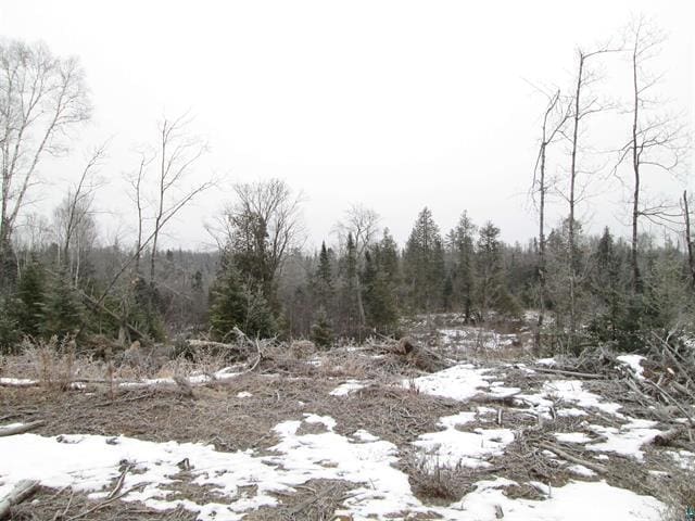 TBD County Rd L, Hawthorne, WI 54874 - photo 13