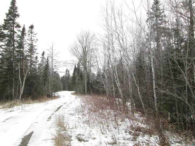 TBD County Rd L, Hawthorne, WI 54874 - photo 14