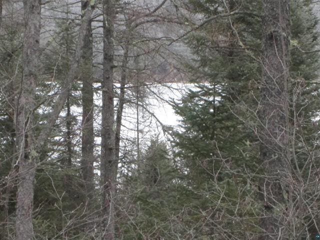 TBD County Rd L, Hawthorne, WI 54874 - photo 15