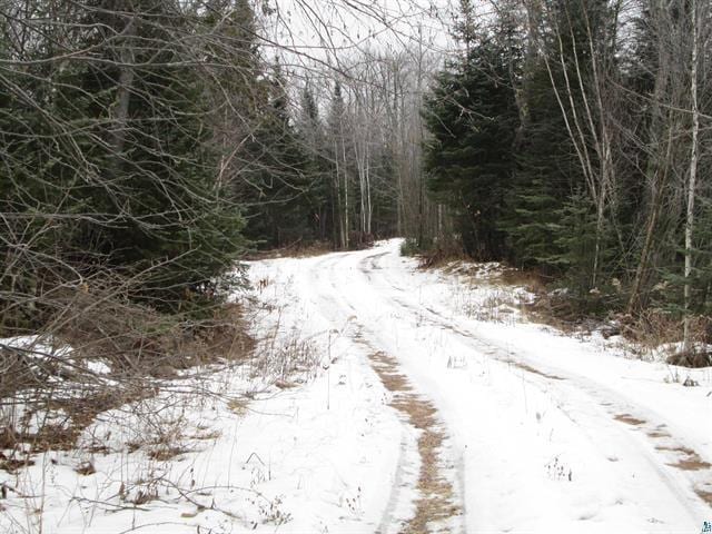 TBD County Rd L, Hawthorne, WI 54874 - photo 17