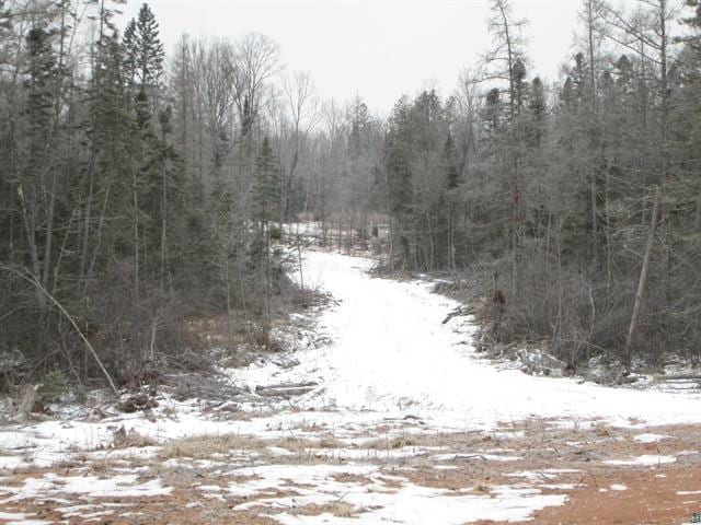 TBD County Rd L, Hawthorne, WI 54874 - photo 18