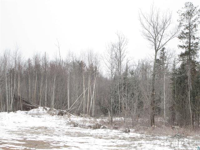 TBD County Rd L, Hawthorne, WI 54874 - photo 23