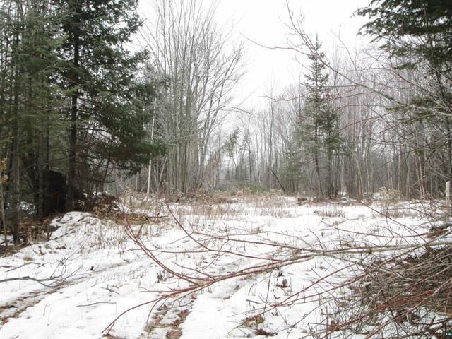 TBD County Rd L, Hawthorne, WI 54874 - photo 24