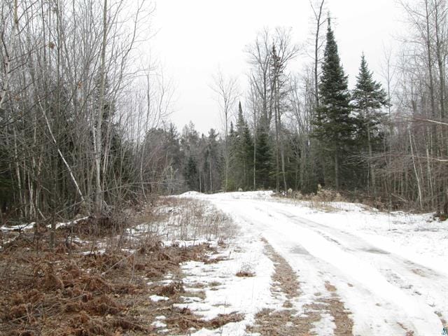 TBD County Rd L, Hawthorne, WI 54874 - photo 25