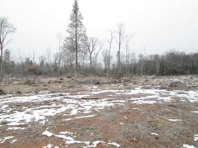 TBD County Rd L, Hawthorne, WI 54874 - photo 26